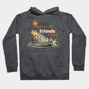 Friends Forever Hoodie